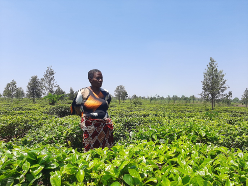 woman farmer 2